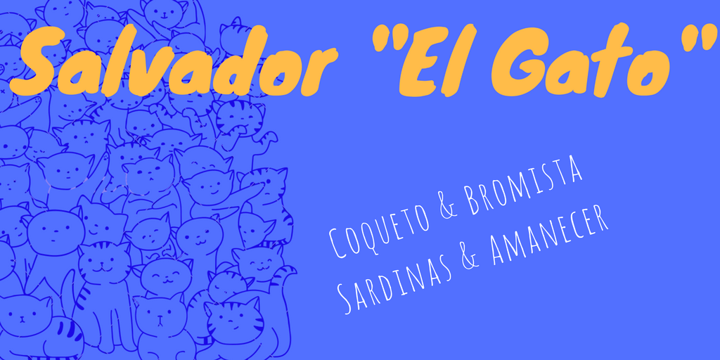 flamencolica salvador el gato