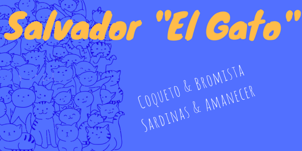 flamencolica salvador el gato